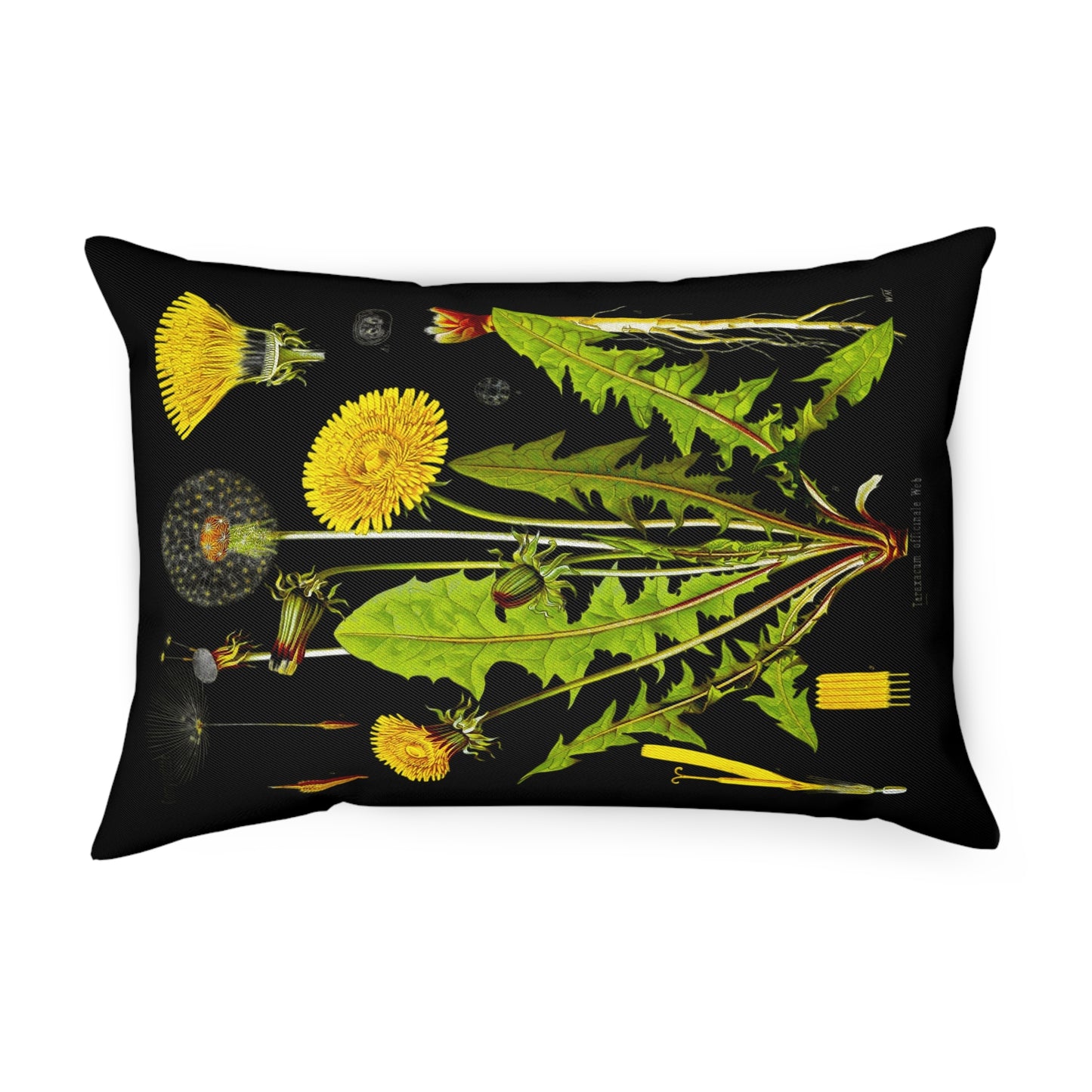 Löwenzahn, Herb Pillow, vintage gothic, dark academia, floral Pillow for Home Decor,