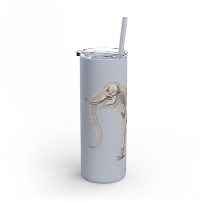 Elefant Tumbler, 20oz