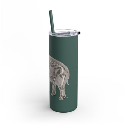 Elefant Tumbler, 20oz