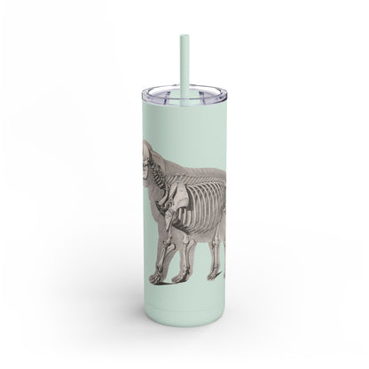 Elefant Tumbler, 20oz