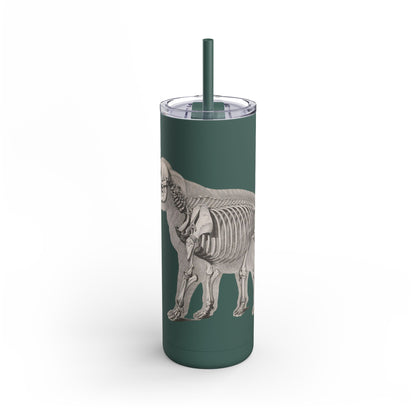 Elefant Tumbler, 20oz