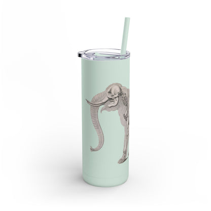 Elefant Tumbler, 20oz