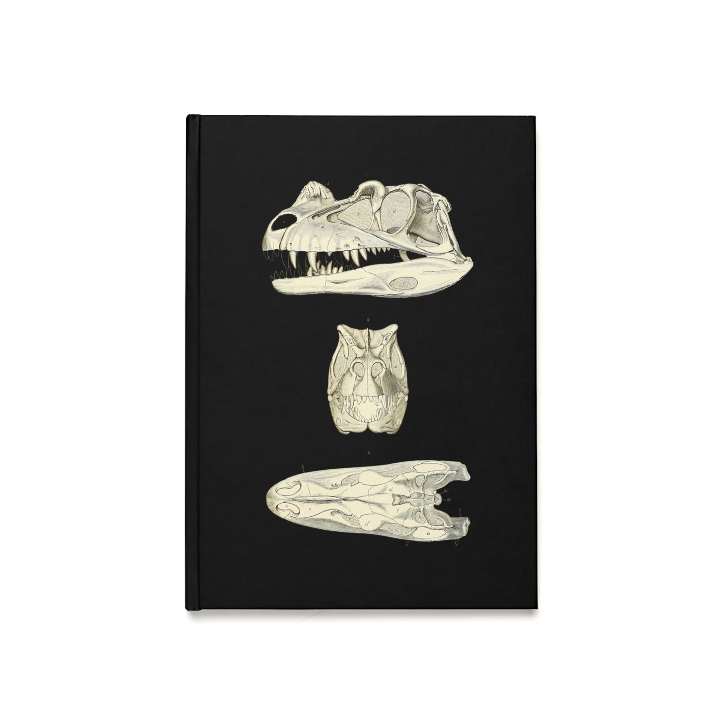 Dinosaur 2, Skull Skeleton Hardcover Journal | Treasures for Artists, Historians, A5 Notebook