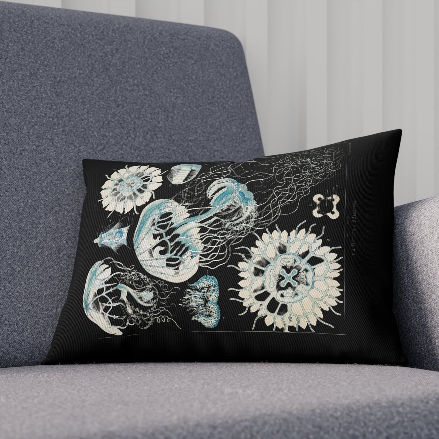 Medusa, Jellyfish Cushion, Quallen Anatomie, vintage, dark academia, Decorative Pillows, Ocean Life Decor