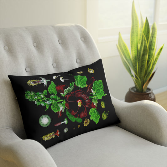 Delphinium, Botanical Anatomy, Vintage Floral Cushion with Botanical Design