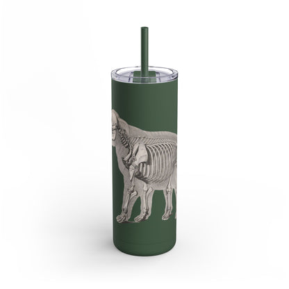 Elefant Tumbler, 20oz