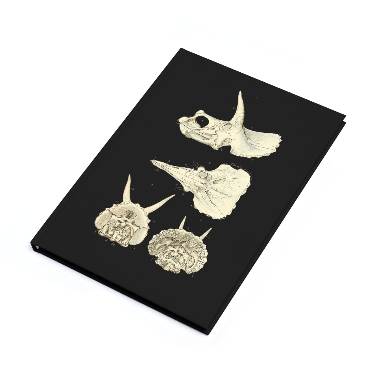 Triceratops Skull Skeleton Hardcover Journal | Treasures for Artists, Historians, A5 Notebook