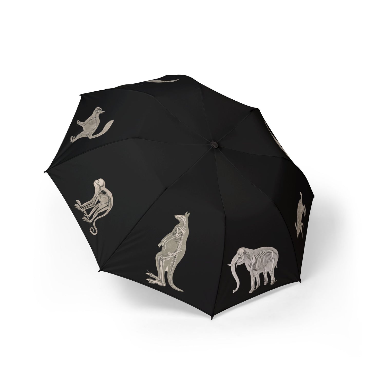 Animal Skeletons Umbrella
