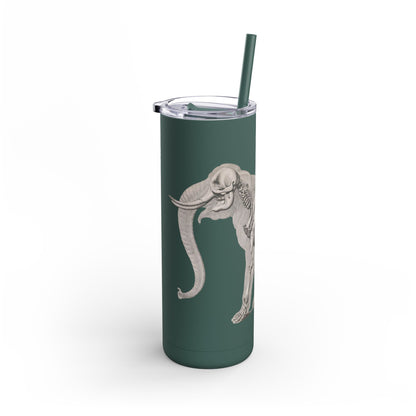 Elefant Tumbler, 20oz