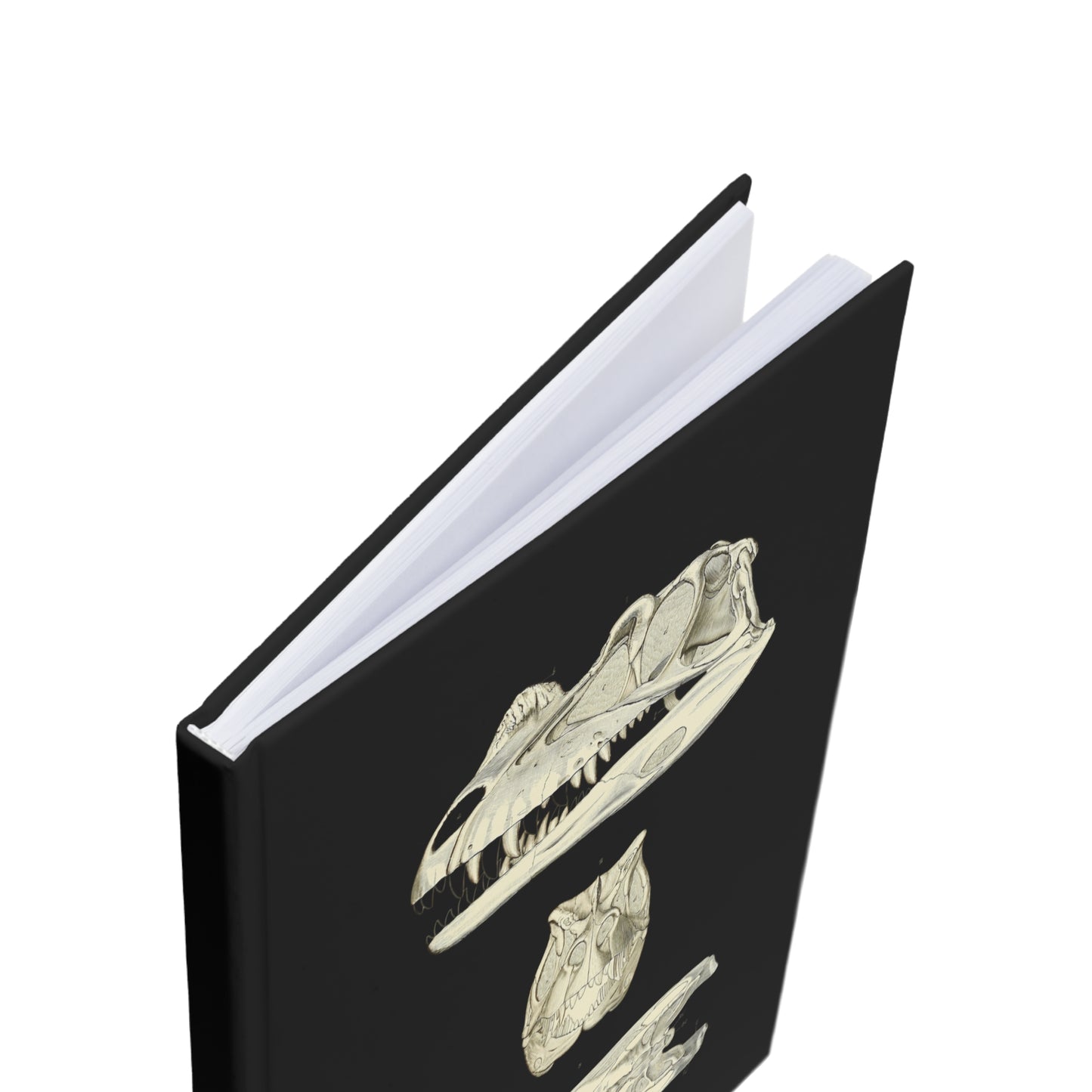 Dinosaur 2, Skull Skeleton Hardcover Journal | Treasures for Artists, Historians, A5 Notebook
