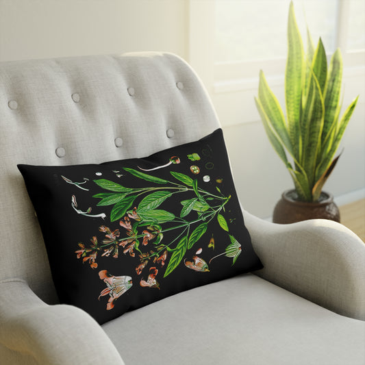 Salbei, Botanical Anatomie, Dark Academia, Gothic Vintage Floral Cushion with Botanical Design