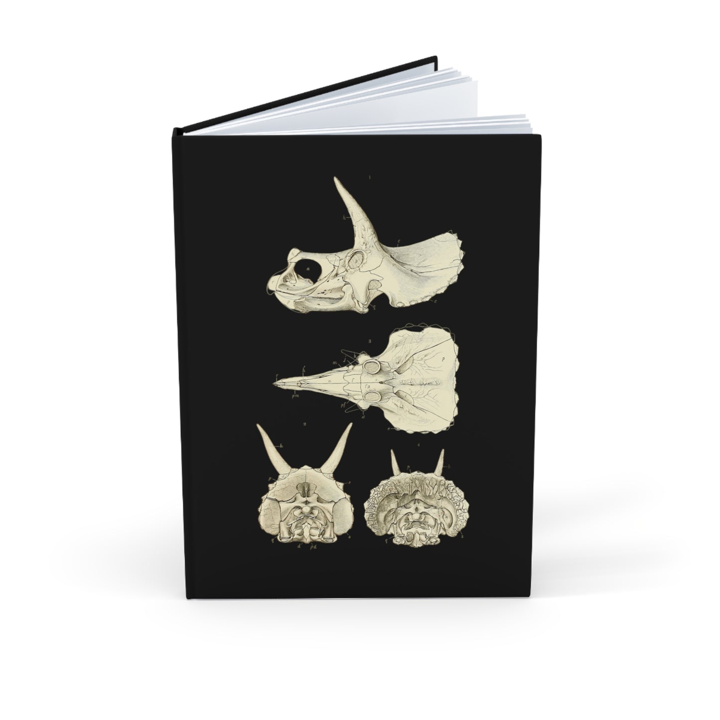 Triceratops Skull Skeleton Hardcover Journal | Treasures for Artists, Historians, A5 Notebook