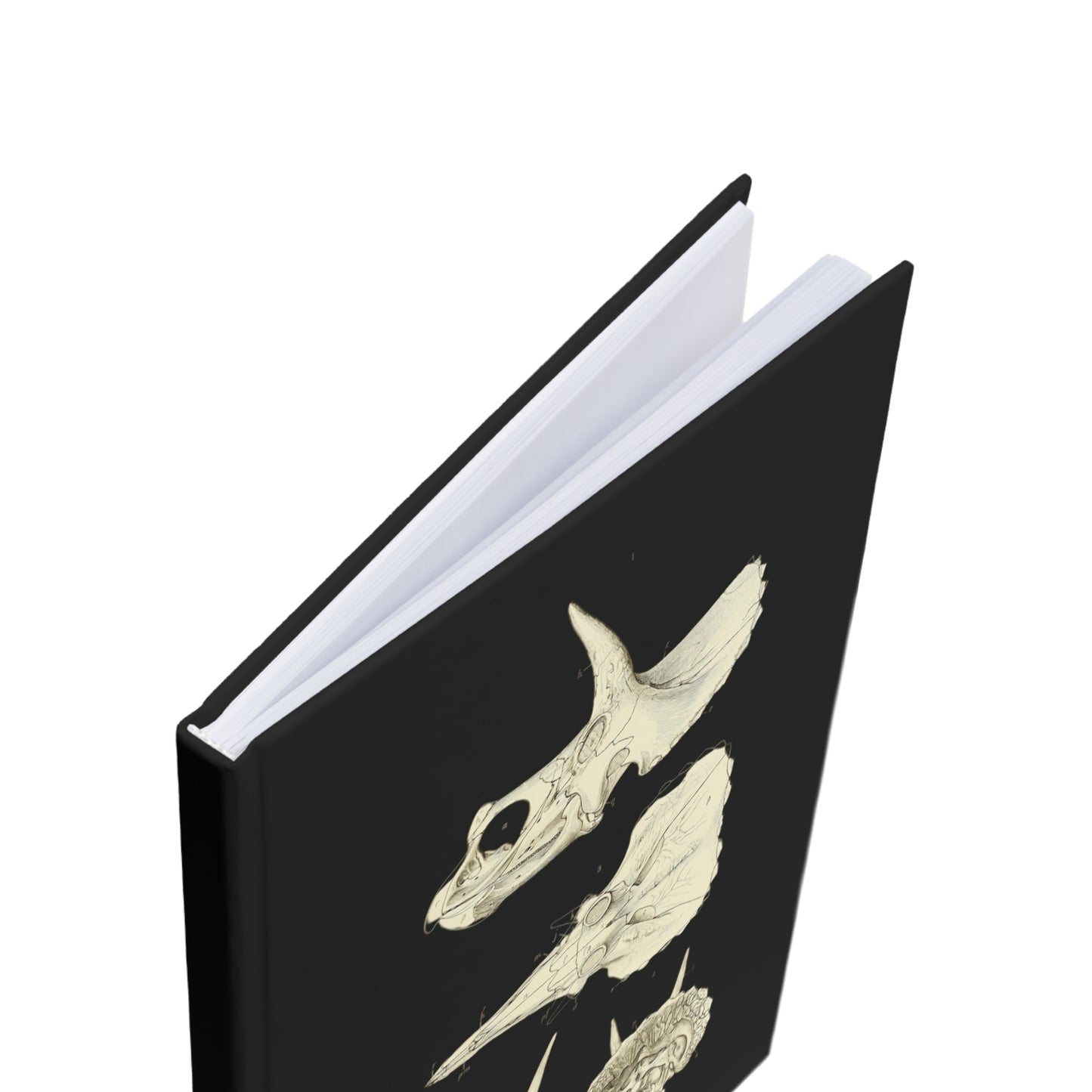 Triceratops Skull Skeleton Hardcover Journal | Treasures for Artists, Historians, A5 Notebook