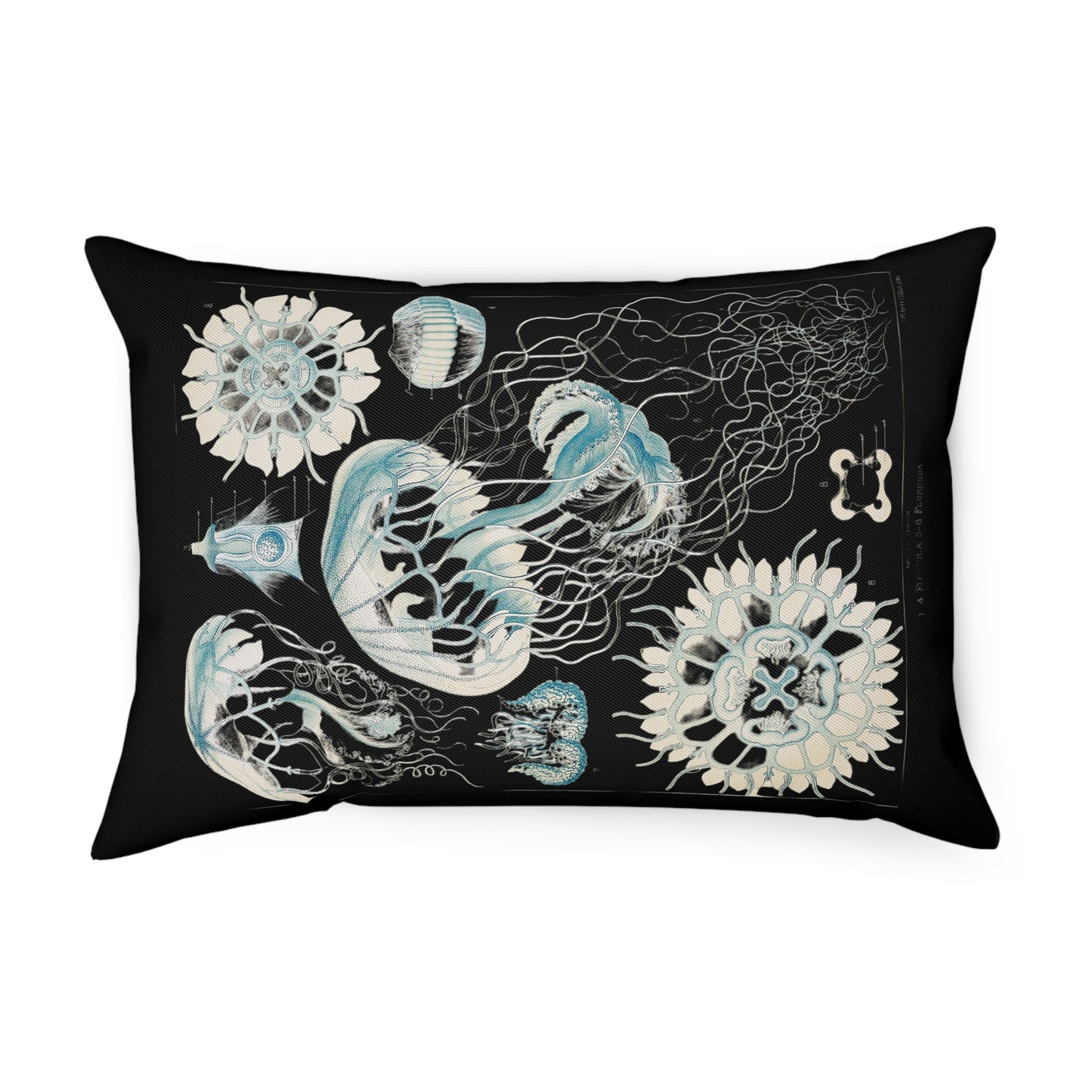 Medusa, Jellyfish Cushion, Quallen Anatomie, vintage, dark academia, Decorative Pillows, Ocean Life Decor