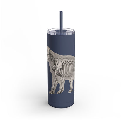 Elefant Tumbler, 20oz