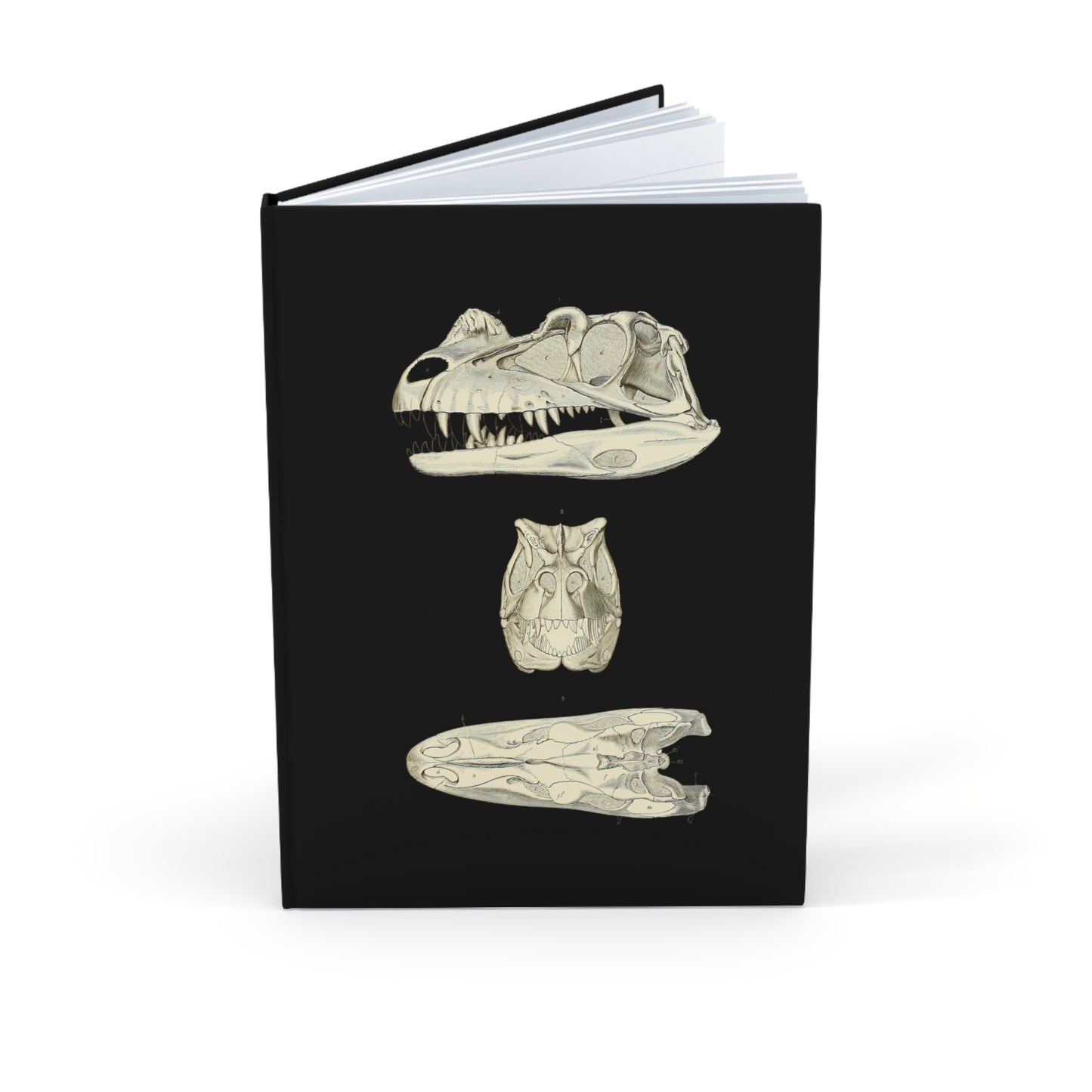 Dinosaur 2, Skull Skeleton Hardcover Journal | Treasures for Artists, Historians, A5 Notebook